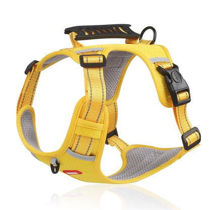 🔥Soldes exceptionnelles - 70 % de réduction🔥🐕Prix - Laisse pour animal gratuite !