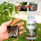 🌿 Stimulez la Croissance de Vos Plantes – Engrais Spécial Racines avec Offre 2 + 1 Gratuit ! 🌱💧