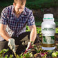 🌿 Stimulez la Croissance de Vos Plantes – Engrais Spécial Racines avec Offre 2 + 1 Gratuit ! 🌱💧