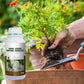 🌿 Stimulez la Croissance de Vos Plantes – Engrais Spécial Racines avec Offre 2 + 1 Gratuit ! 🌱💧