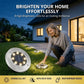 🌞 50% DE RÉDUCTION! 💡 Lampe solaire de sol 8 LED – Acier inoxydable & allumage auto ✨