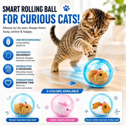 🐱 50% DE RÉDUCTION! 🎾 Balle interactive auto-roulante pour chat – Mouvement aléatoire, LED intégrée & rechargeable – Stimule l'instinct de chasse pour des heures de jeu 🐾