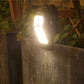 ✨ ACHETEZ 3, OFFERT 1 ! ☀️ Lampe à induction solaire pour jardin – Éclairage automatique, Résistante aux intempéries & Économique 🏡
