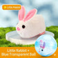 🐱 50% DE RÉDUCTION! 🎾 Balle interactive auto-roulante pour chat – Mouvement aléatoire, LED intégrée & rechargeable – Stimule l'instinct de chasse pour des heures de jeu 🐾