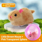 🐱 50% DE RÉDUCTION! 🎾 Balle interactive auto-roulante pour chat – Mouvement aléatoire, LED intégrée & rechargeable – Stimule l'instinct de chasse pour des heures de jeu 🐾