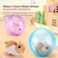 🐱 50% DE RÉDUCTION! 🎾 Balle interactive auto-roulante pour chat – Mouvement aléatoire, LED intégrée & rechargeable – Stimule l'instinct de chasse pour des heures de jeu 🐾