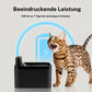 🐱 50% DE RÉDUCTION 💧 Fontaine à eau inox 2,2L – Alimentation USB & eau courante – Filtration, silencieuse – idéale pour chats et chiens – eau fraîche toute la journée 🐶✨🌿