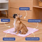 🐾❄️ Offre spéciale : -50 % ! Coussin rafraîchissant été pour animaux 🐶🐱 Gel auto-refroidissant non toxique & confort optimal