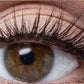 ✨ ACHETEZ 2, OBTENEZ 1 GRATUIT! 👀 Cils Auto-Adhésifs Réutilisables – Sans colle, application en 3 secondes & effet naturel – Idéaux pour un regard agrandi en un clin d'œil 💖