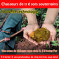 🤩RICHE!!!✨Livraison gratuite✨Détecteur de métaux à haute sensibilité