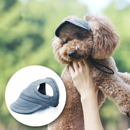🔥 60 % DE RÉDUCTION – Chapeau pour chien, confortable et tendance 🐶🎩