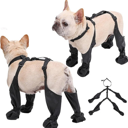 🐾 50% DE RÉDUCTION! ❤️ Collants imperméables – Protection & confort pour animaux ✨