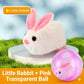 🐱 50% DE RÉDUCTION! 🎾 Balle interactive auto-roulante pour chat – Mouvement aléatoire, LED intégrée & rechargeable – Stimule l'instinct de chasse pour des heures de jeu 🐾