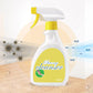 🔥Les travaux ménagers Premier choix👍Spray d'élimination des moisissures sur les murs, aussi brillant que neuf