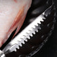 🔪 ACHETEZ 1 - RECEVEZ 1 GRATUIT ! ✨ Écailleur de Poisson en Acier Inoxydable - Design Ergonomique pour un Nettoyage Rapide et Sans Bave 🐟🏠