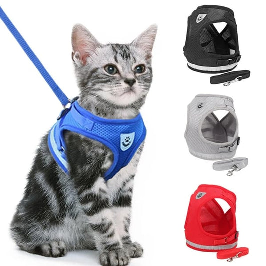 Ensemble harnais et laisse pour gilet lumineux et respirant réglable pour animaux de compagnie