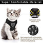 Ensemble harnais et laisse pour gilet lumineux et respirant réglable pour animaux de compagnie