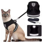 Ensemble harnais et laisse pour gilet lumineux et respirant réglable pour animaux de compagnie