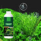 🐠 ACHETEZ 1 - RECEVEZ 1 GRATUIT ! 🌿 Éliminateur d'Algues pour Aquarium - Purification Sûre et Rapide sans Nocivité pour les Poissons 💧✨