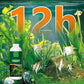 🐠 ACHETEZ 1 - RECEVEZ 1 GRATUIT ! 🌿 Éliminateur d'Algues pour Aquarium - Purification Sûre et Rapide sans Nocivité pour les Poissons 💧✨