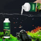 🐠 ACHETEZ 1 - RECEVEZ 1 GRATUIT ! 🌿 Éliminateur d'Algues pour Aquarium - Purification Sûre et Rapide sans Nocivité pour les Poissons 💧✨