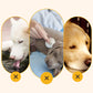 💖Dernier jour 50% de réduction-Gourde pour chien à l'extérieur