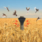 🕊️✨Répulsif solaire anti-oiseaux d'extérieur étanche⏳50% de réduction pour une durée limitée 🎁
