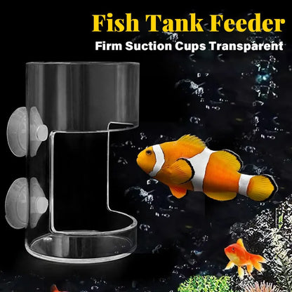Anneau et plateau d'alimentation pour aquarium！