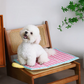 🐕💦🧊 Tapis Rafraîchissant Imperméable Double Face pour Animaux – 50 % de Réduction ! ❄️🐾