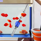 ⌛️Offre limitée à 50%🔥 Changeur d'eau et nettoyeur de filtre d'aquarium à aspiration électrique
