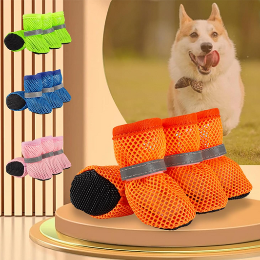 👟 Offrez Confort & Protection à Votre Chien – 50 % de Réduction sur les Chaussures en Maille ! 🐶✨