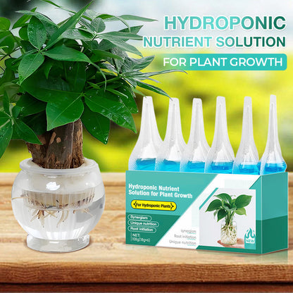 🏡Achetez 2 obtenez 3 GRATUITE !🪴Solution nutritive hydroponique pour la croissance des plantes☘️💦