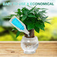 🏡Achetez 2 obtenez 3 GRATUITE !🪴Solution nutritive hydroponique pour la croissance des plantes☘️💦