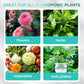 🏡Achetez 2 obtenez 3 GRATUITE !🪴Solution nutritive hydroponique pour la croissance des plantes☘️💦