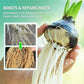🏡Achetez 2 obtenez 3 GRATUITE !🪴Solution nutritive hydroponique pour la croissance des plantes☘️💦