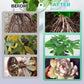 🏡Achetez 2 obtenez 3 GRATUITE !🪴Solution nutritive hydroponique pour la croissance des plantes☘️💦