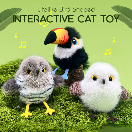 🎁🐱 Jouet interactif pour chat en forme d'oiseau réaliste – Amusement garanti à -50 % ! 🐦💥
