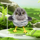 🎁🐱 Jouet interactif pour chat en forme d'oiseau réaliste – Amusement garanti à -50 % ! 🐦💥
