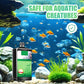 🐠 Nettoyant anti-algues pour aquarium 🔥 Promotion spéciale 50 % – Gardez votre aquarium limpide et sain !