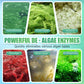 🐠 Nettoyant anti-algues pour aquarium 🔥 Promotion spéciale 50 % – Gardez votre aquarium limpide et sain !
