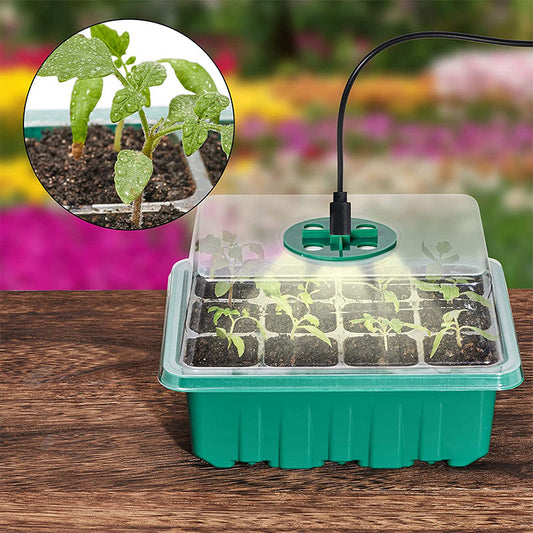 ⏰ Offre limitée -60 % 🌱🔥 Plateaux de germination avec lampe de croissance
