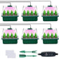 ⏰ Offre limitée -60 % 🌱🔥 Plateaux de germination avec lampe de croissance