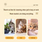 🐱 50% DE RÉDUCTION ! 🥊 Jouet Interactif pour Chat - Sac de Frappe avec Herbe à Chat Intégrée, Stimule l'Instinct de Chasse sans Griffures 🎯✨