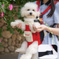 🎒 60% de Réduction! 🐾 Sac à Dos de Transport pour Animaux – Confortable, Ventilé & Sécurisé ✨