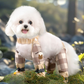 🐕 50% DE RÉDUCTION ! 🌿 Pantalon Anti-Poussière pour Chien - Protection Extérieure Respirante et Lavable, Taille Adjustable pour Randonnée/Jeu 📦✨