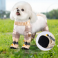 🐕 50% DE RÉDUCTION ! 🌿 Pantalon Anti-Poussière pour Chien - Protection Extérieure Respirante et Lavable, Taille Adjustable pour Randonnée/Jeu 📦✨