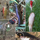 🎣 60% DE RÉDUCTION ! ✨ Ensemble de Leurres de Pêche Réalistes - 24 Leurres Robustes avec Boîte de Rangement, Idéal pour Débutants et Experts 🐟📦