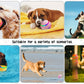 🐶 50% DE RÉDUCTION! ⚽ Balle automatique pour chien – Incassable & mouvement autonome ✨