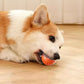 🐶 50% DE RÉDUCTION! ⚽ Balle automatique pour chien – Incassable & mouvement autonome ✨