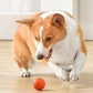 🐶 50% DE RÉDUCTION! ⚽ Balle automatique pour chien – Incassable & mouvement autonome ✨